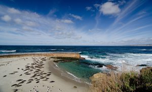 La Jolla Children's Pool